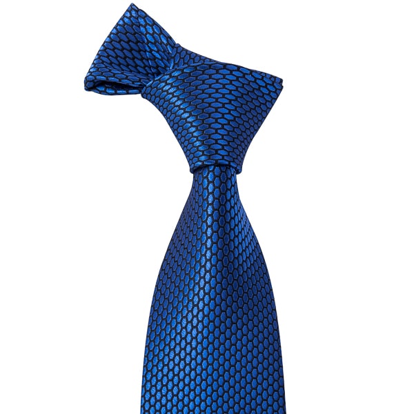ozzimo Blue Hexagon Pattern Silk Necktie for Men - Image 3
